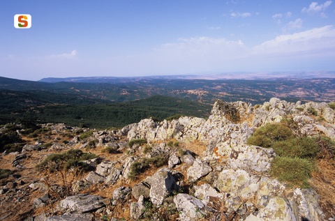 forest-anela-sardegna-sentieri